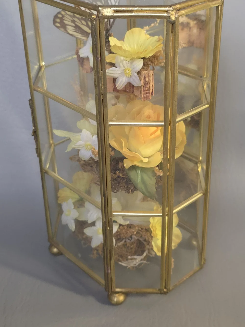 Mid Century Vintage Butterfly Taxidermy Floral In Brass And Glass Curio Cabinet